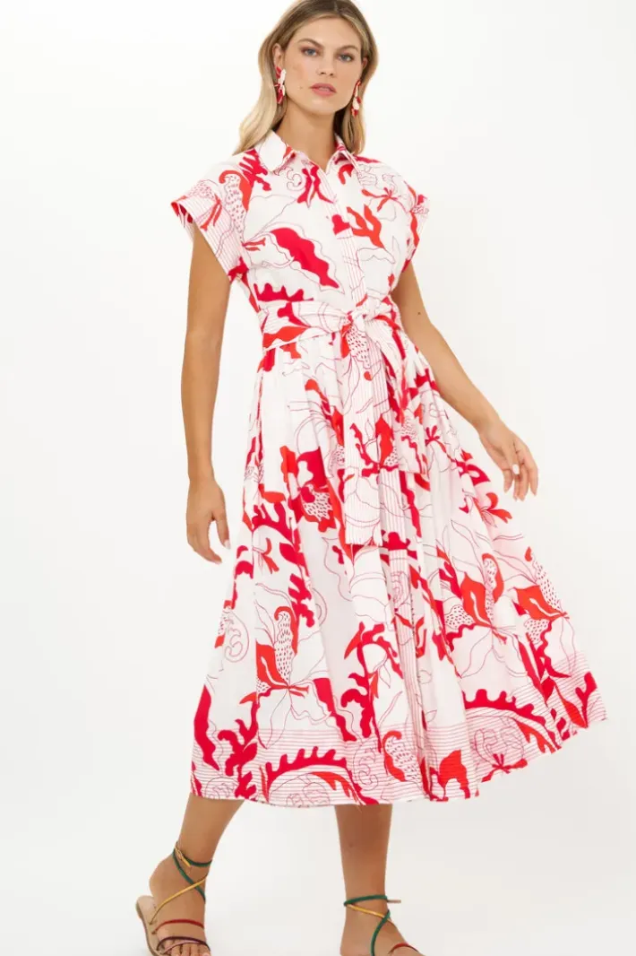 New Belted Shirt Dress- Orchid Red Midis|Maxis